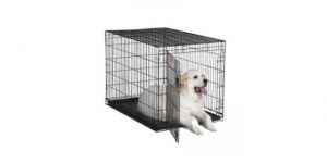 Best Dog Crates for Large Dog-XX-Large-Wire-Dog-Crate-from-MidWest-Solutions 