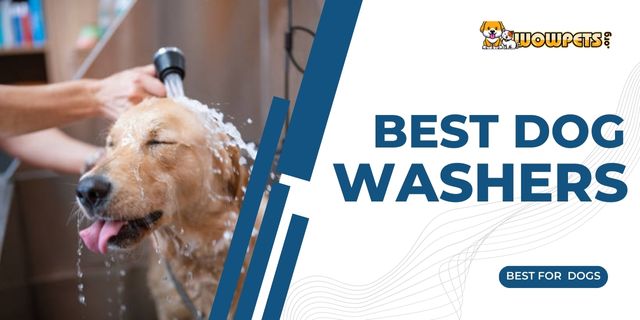 BEST DOG WASHERS FOR YOUR PUPPIES AND DOGS