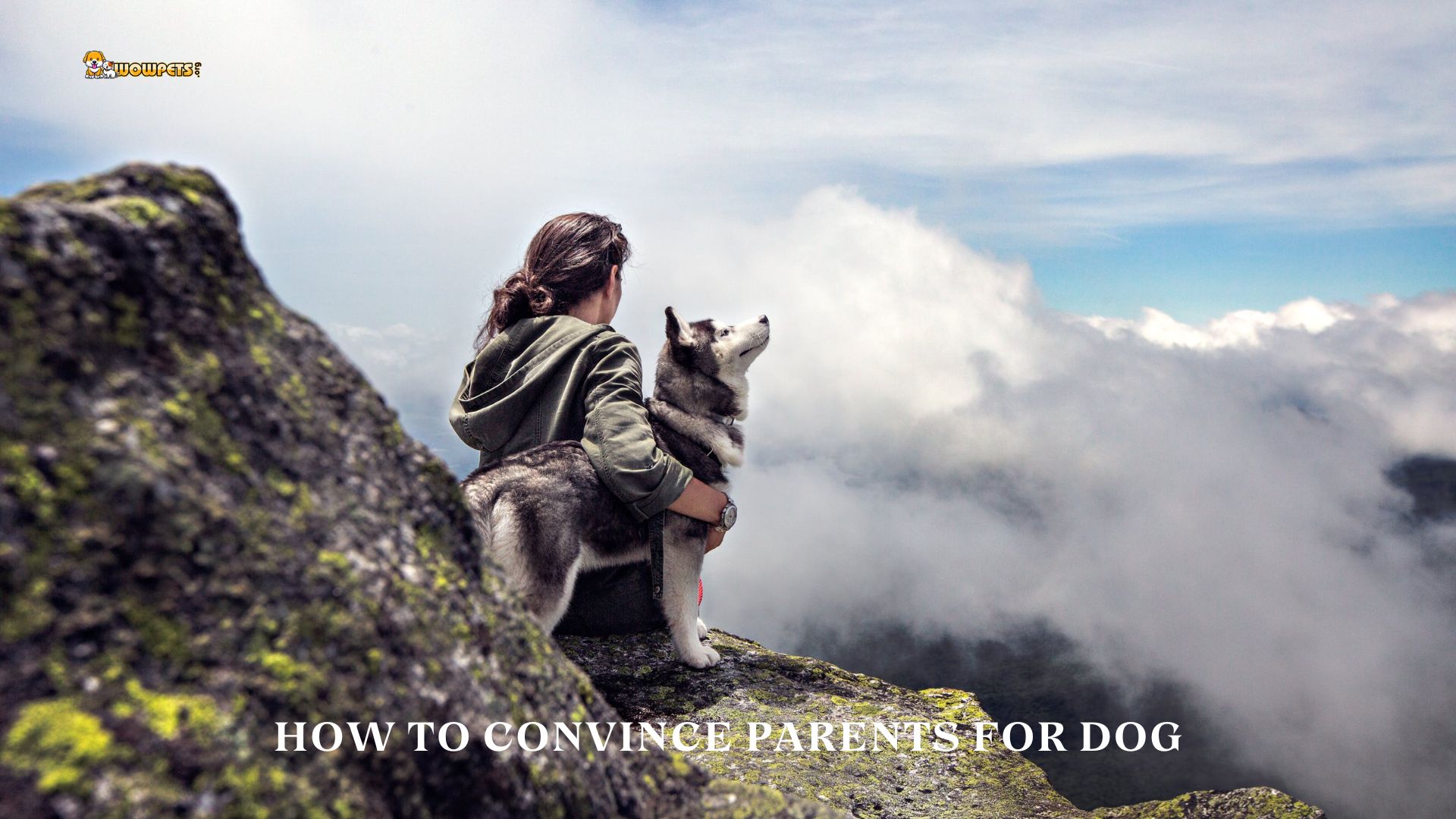 How To Convince Parents For Dog? 9 Best Way