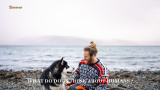 What Do Dogs Think About Humans? 14 Remarkable Concerns