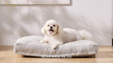 8 Best Dog Beds In 2024| Professionals Analyze