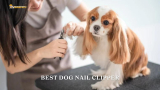 5 Best Dog Nail Clippers (Buying Guide With FAQs)