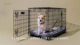 Best Dog Crates for Large Dogs (Top 6 Dog Crates 2024)